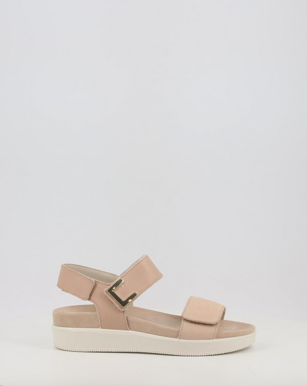 DAISY 758050