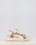 Multicor