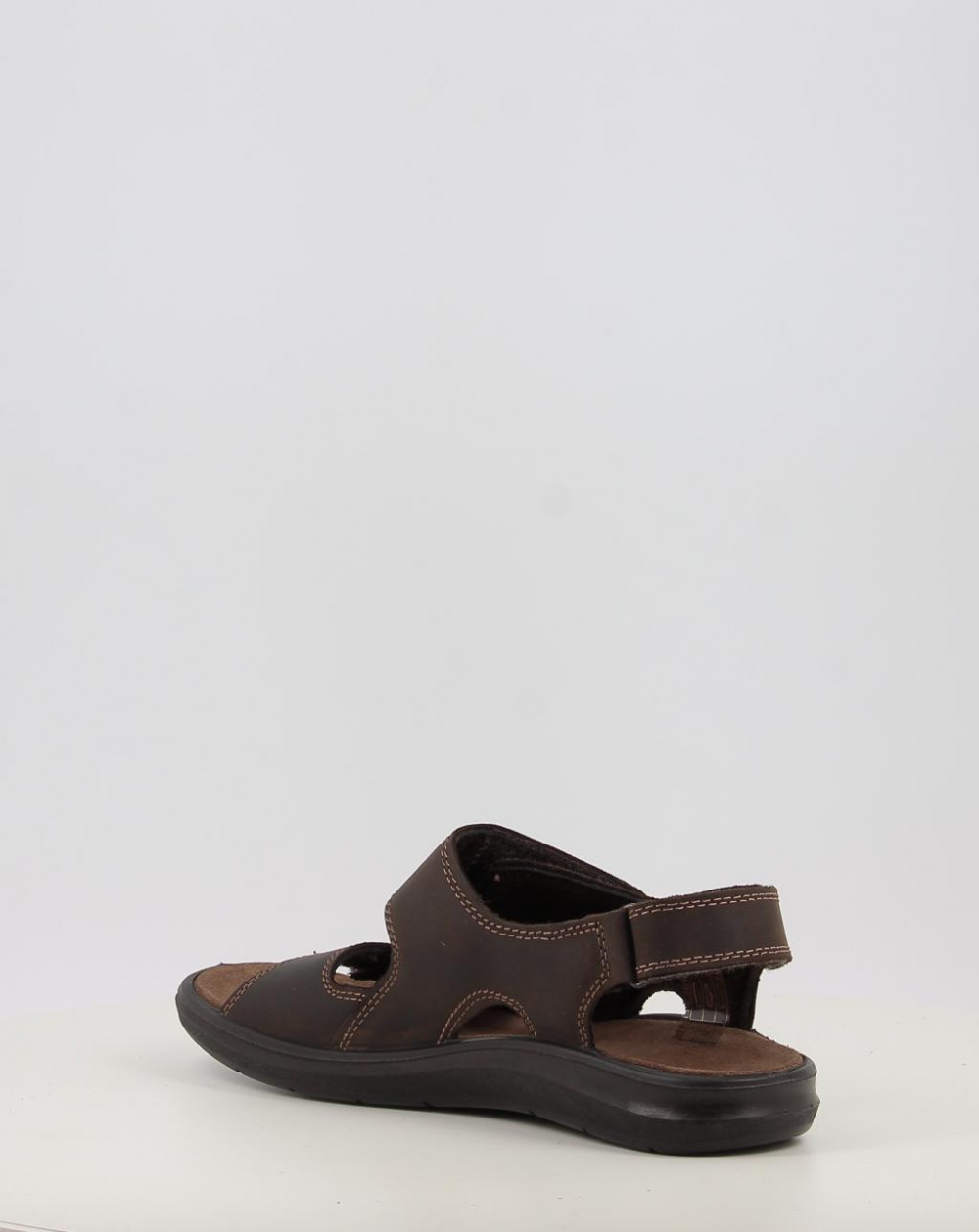 LARK 103631