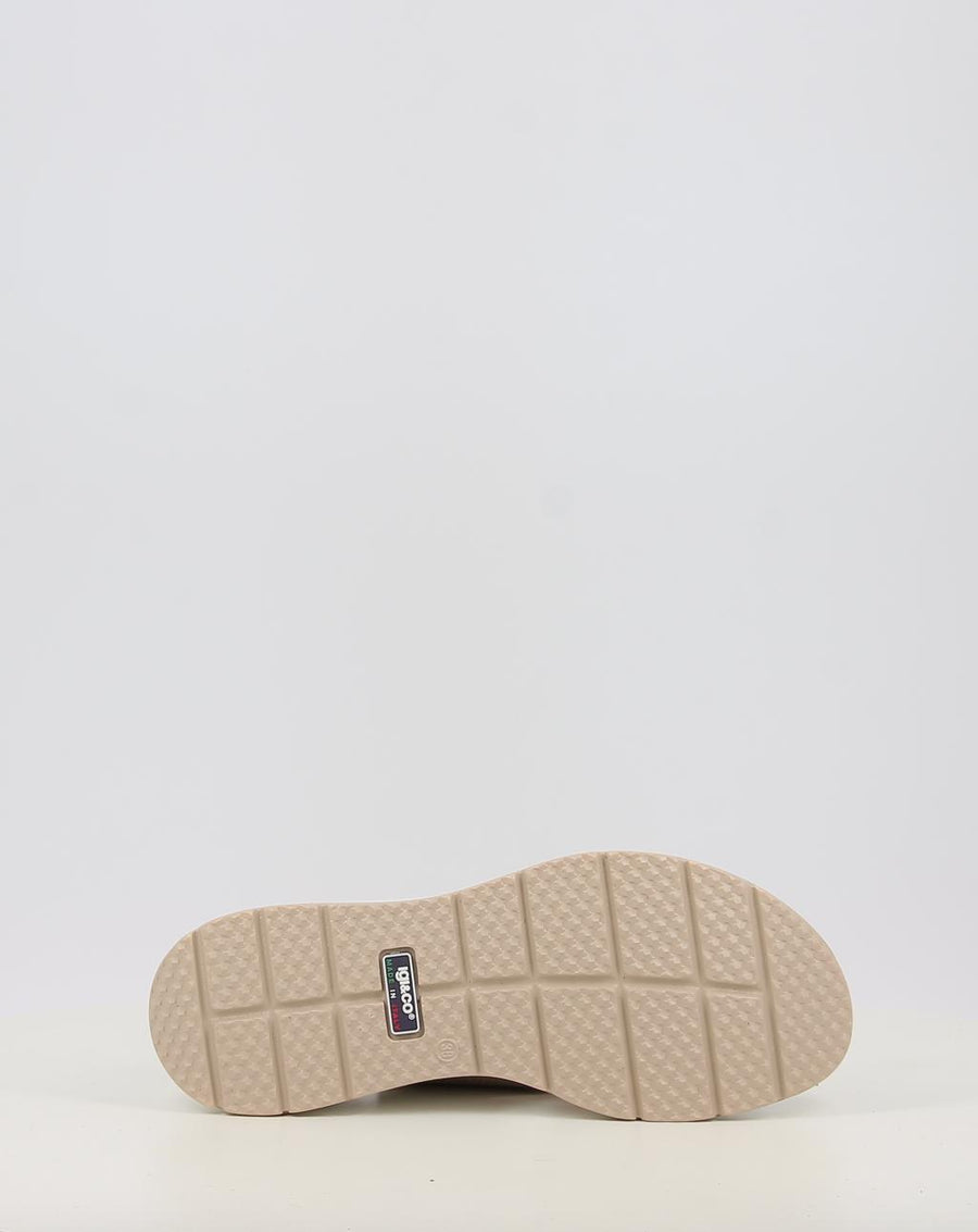 CAROLA 1163411