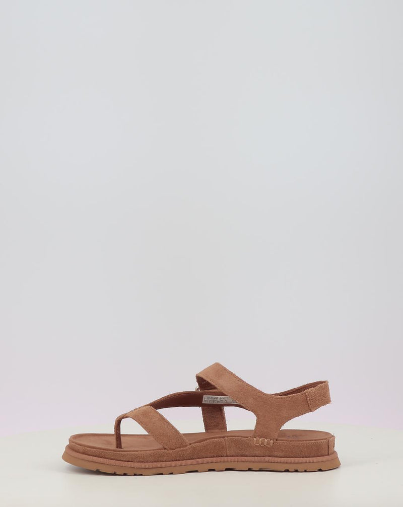 Sandálias UGG GOLDENGAZE TOE POST chestnut