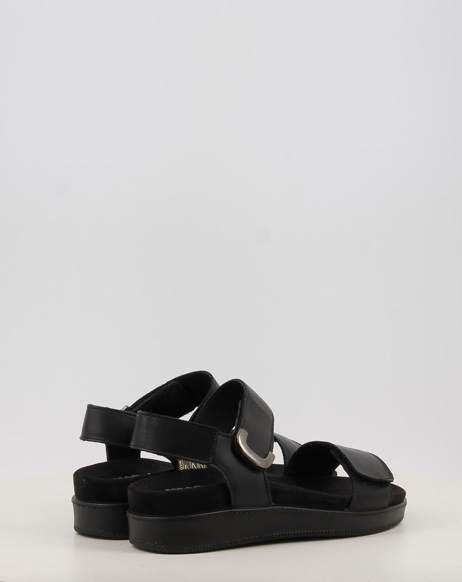 DAISY 108700