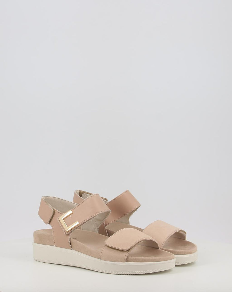DAISY 108700