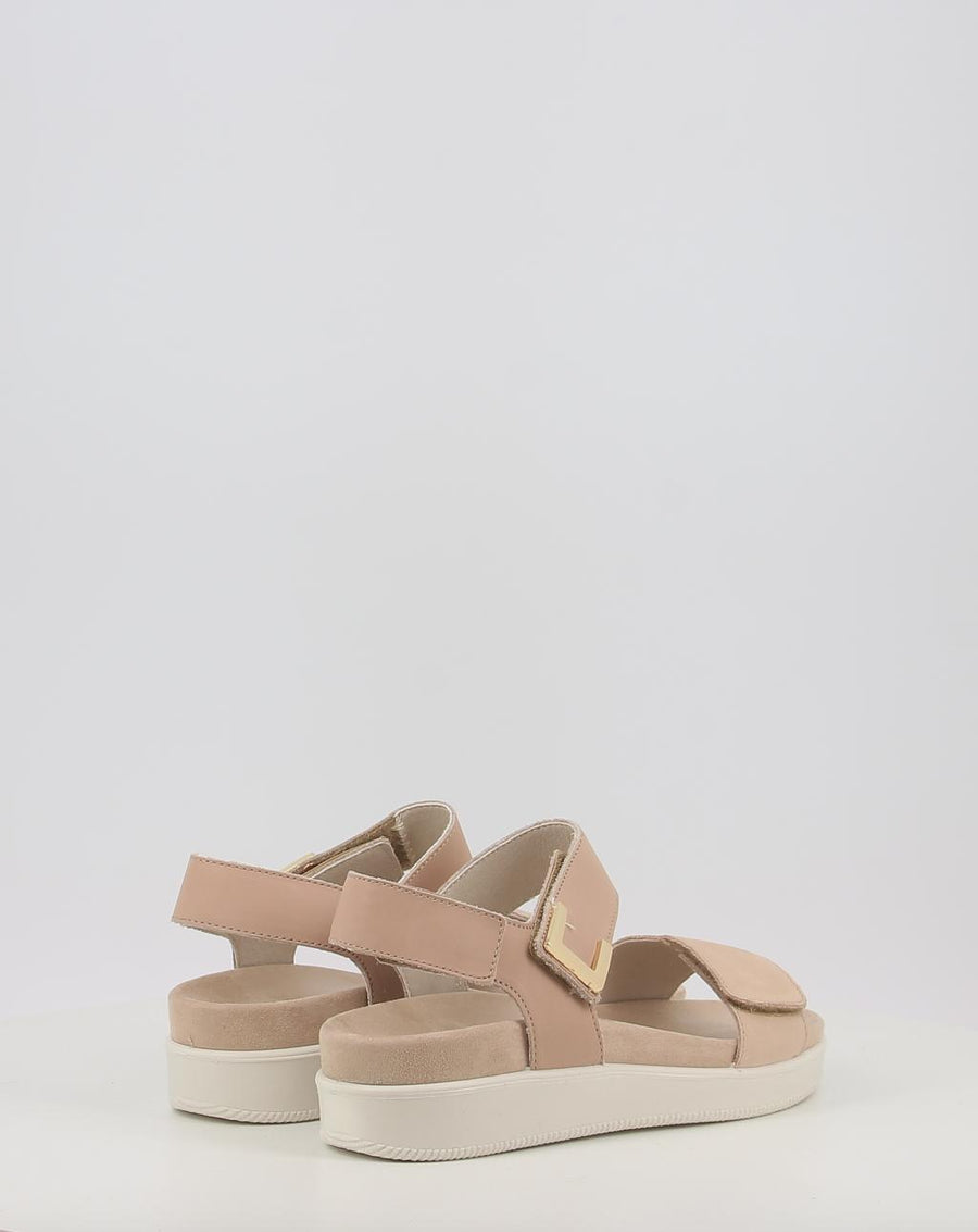 DAISY 108700