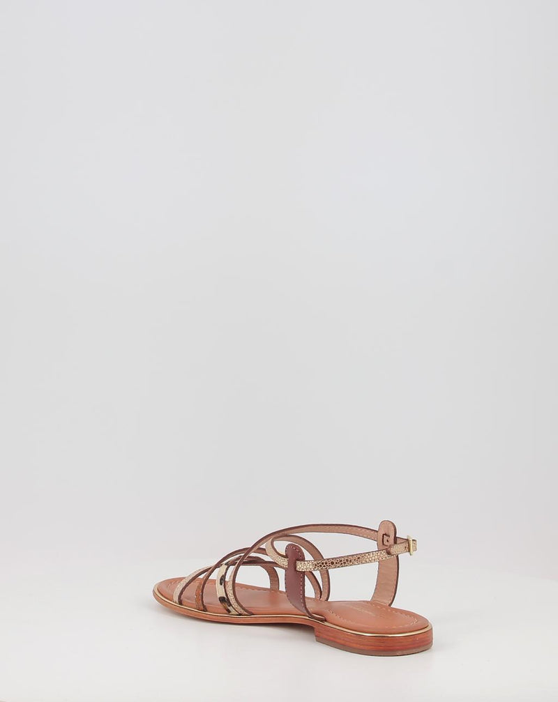 Sandalias LES TROPEZZIENNES HARRY animal print