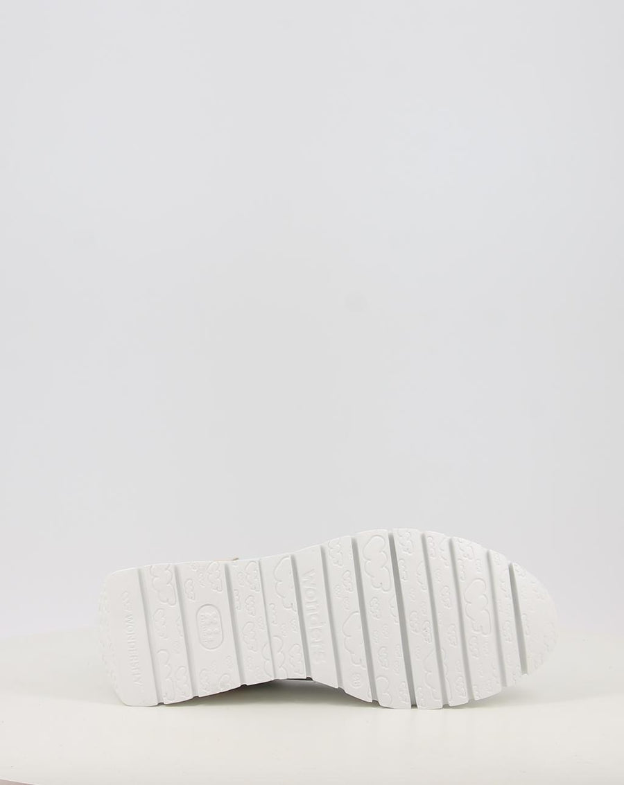 ODISEI 01