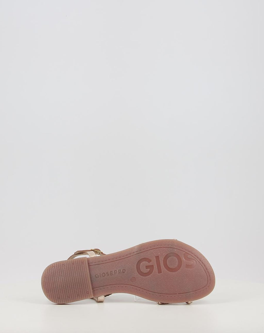NIOAQUE 69112 P