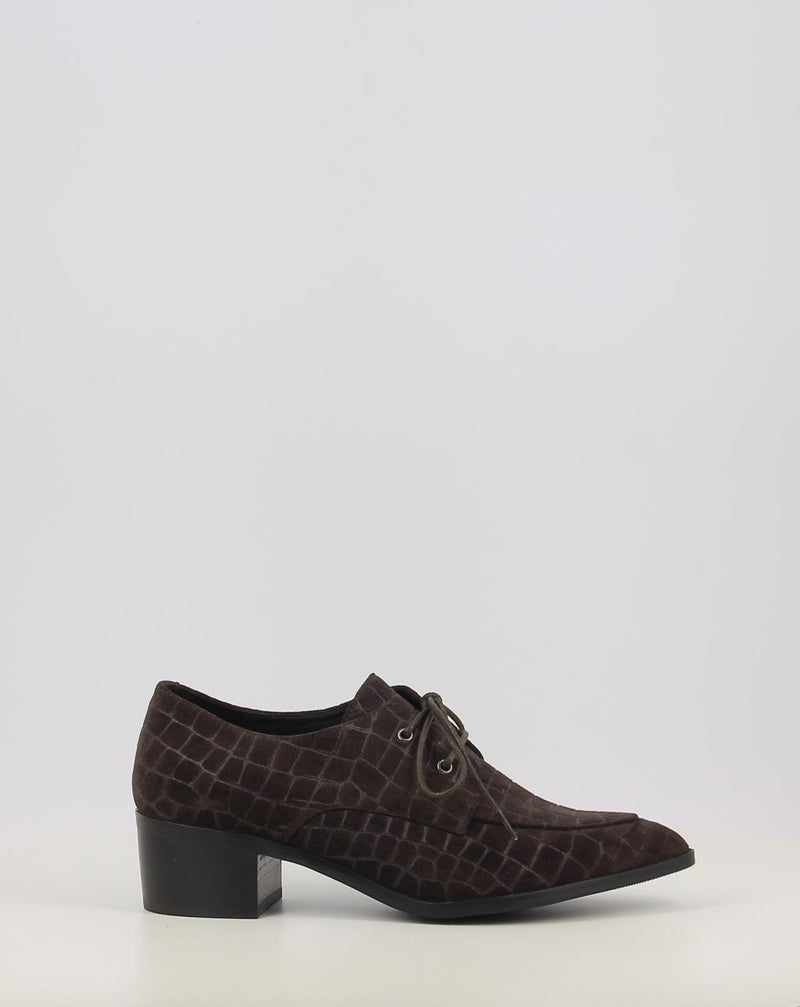 Sapatos STEPHEN ALLEN LAUR13 castanho
