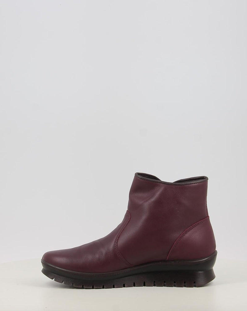 Botins IGI & CO D.KIA GTX 86586 granada