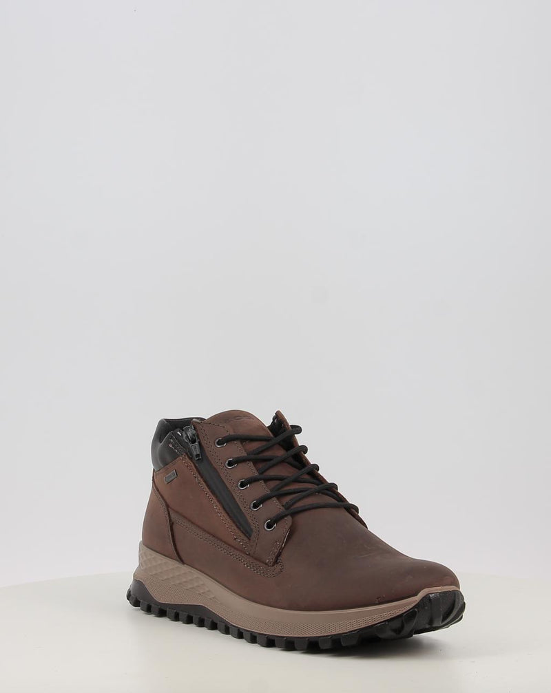 Botins IGI & CO U.EOLO GTX 86255 castanho