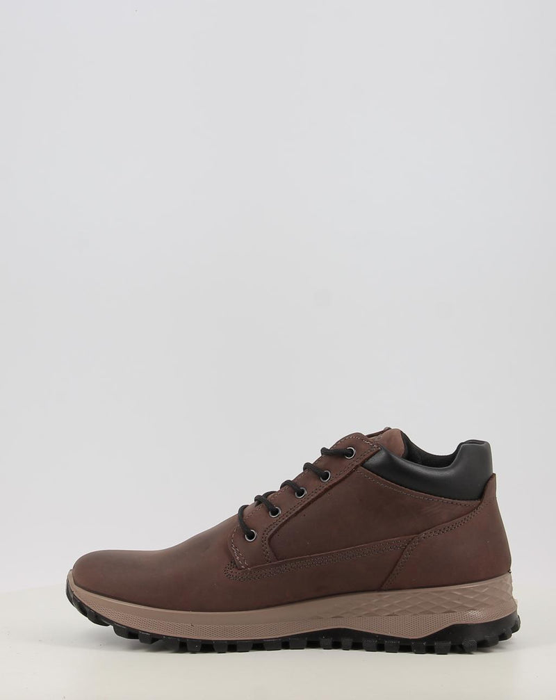 Botins IGI & CO U.EOLO GTX 86255 castanho