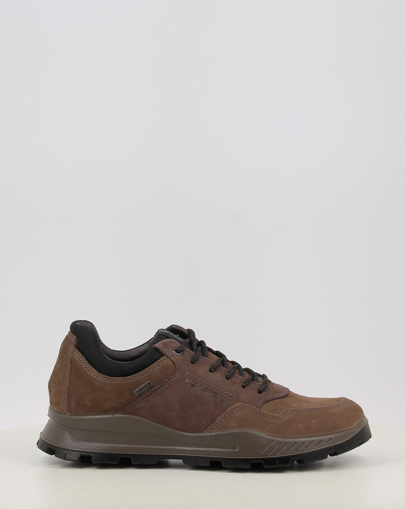 Sapatos IGI & CO U.ELOY GTX 86294 taupe
