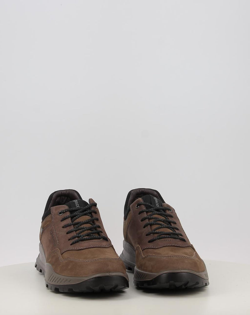 Sapatos IGI & CO U.ELOY GTX 86294 taupe