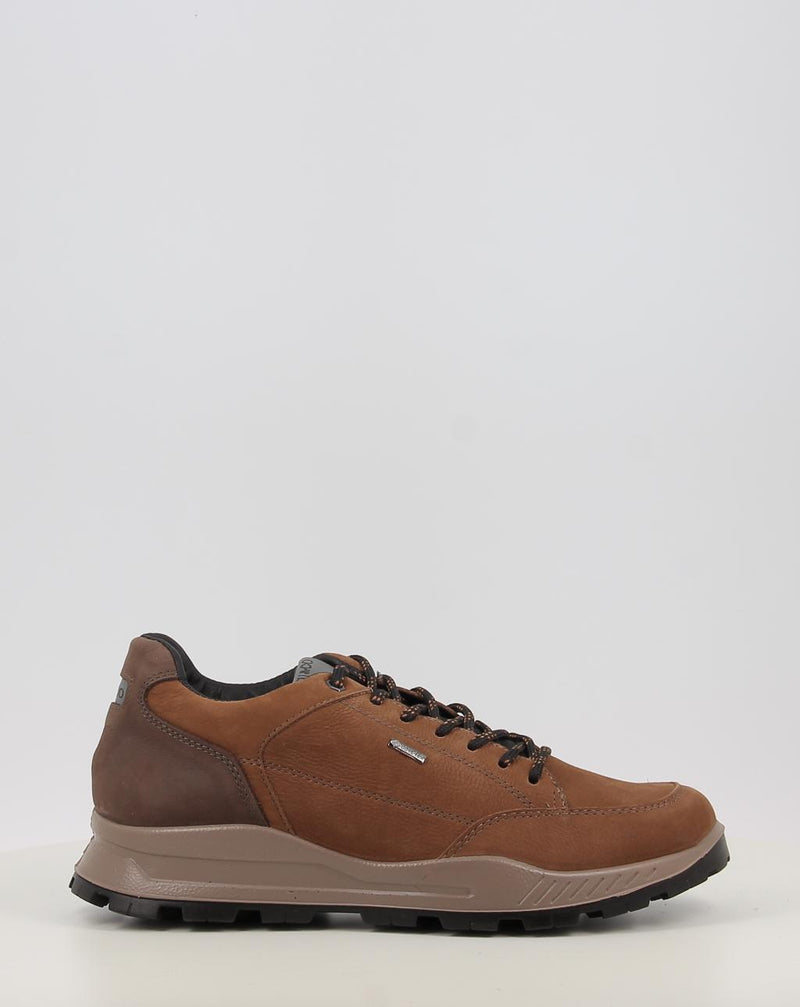 Sapatos IGI & CO U.ELOY GTX 86295 couro