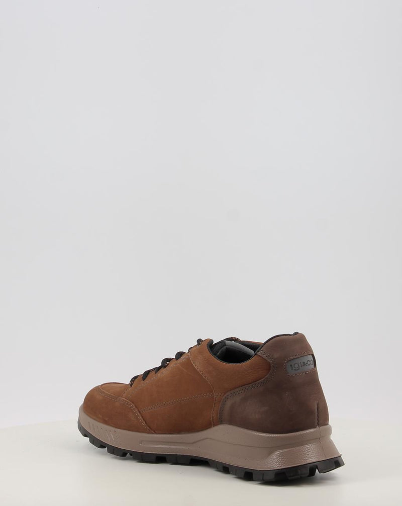 Sapatos IGI & CO U.ELOY GTX 86295 couro