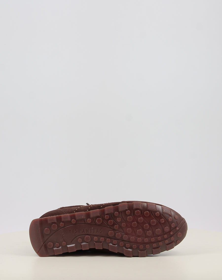 ZINNIA HI264908